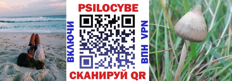 Галлюциногенные грибы мицелий  Подольск 